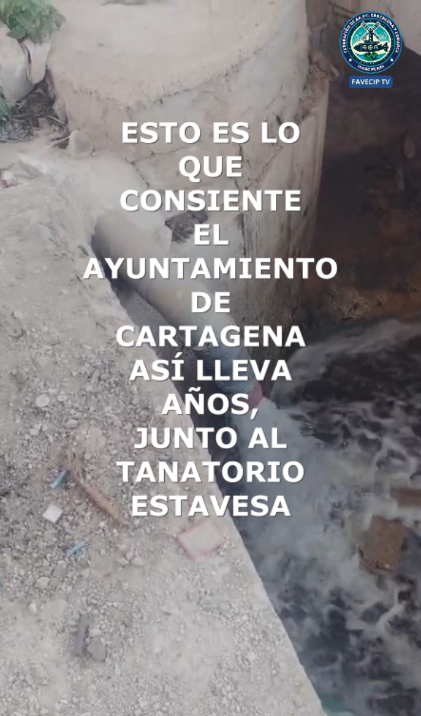 🚨 Vertido de amonio: un grave peligro para nuestro medio ambiente 🌍💧